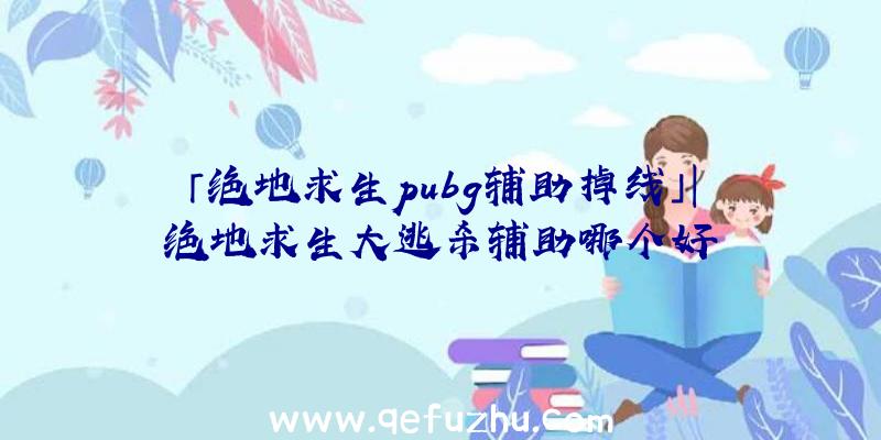 「绝地求生pubg辅助掉线」|绝地求生大逃杀辅助哪个好